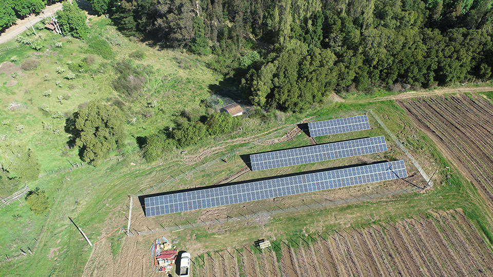 Sistemas solares para empresas agrícolas: Viña Pandolfi Price