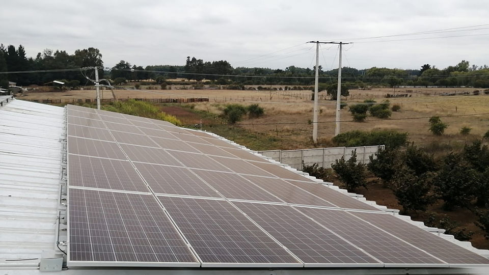 Sistemas solares para empresas agrícolas: Agrícola Máximo Torche Monofásico