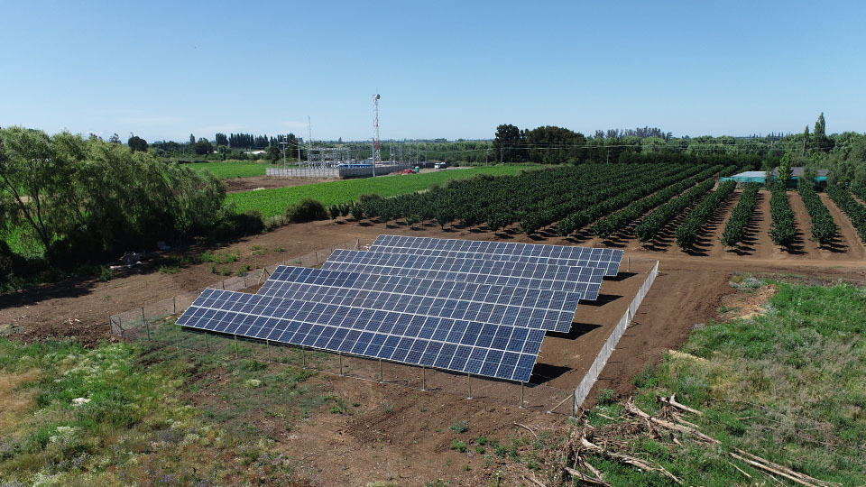 Sistemas solares para empresas: Agrícola Máximo Torche Trifásico