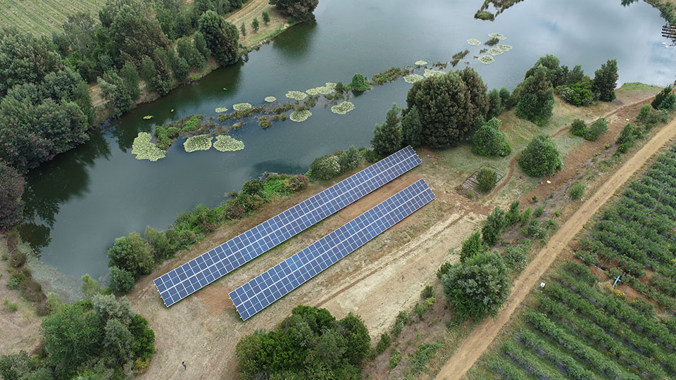 Sistemas solares para empresas agrícolas: Estanque SJB Gorbea 