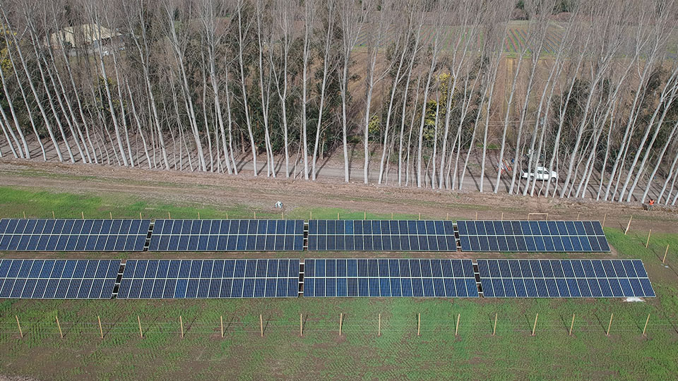 Sistemas solares para empresas agrícolas: Hortifrut Puntilla