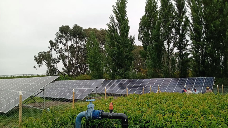 Sistemas solares para empresas agrícolas: Lomas de Quinchamalí