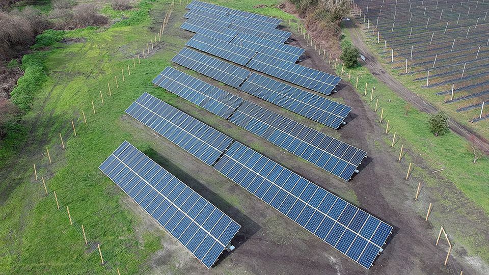 Sistemas solares para empresas agrícolas: Hortifrut Vega Larga