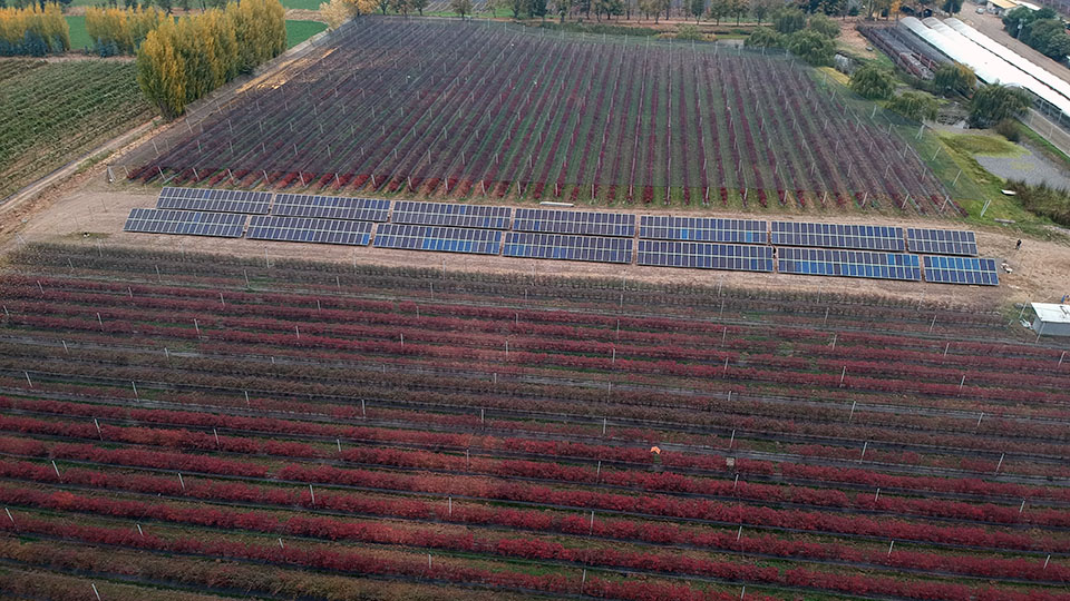 Sistemas solares para empresas agrícolas: Agrícola Angol
