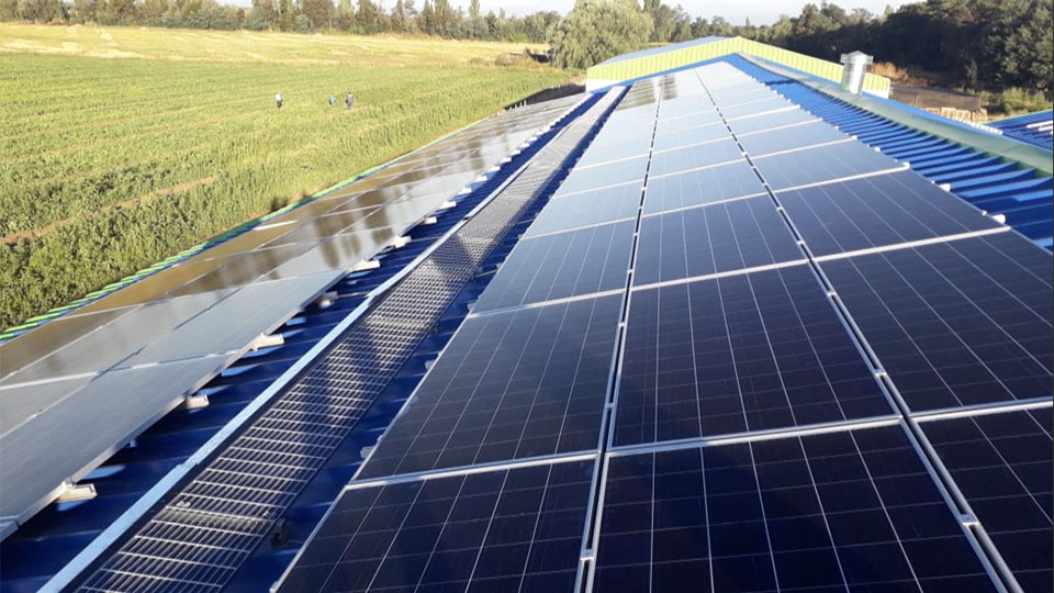 Sistemas solares para empresas agrícolas: Exportadora NDF