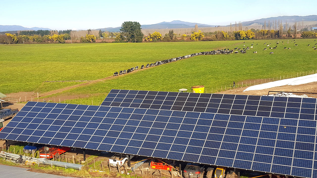 Sistemas solares para empresas agrícolas: Lechería Miraflores
